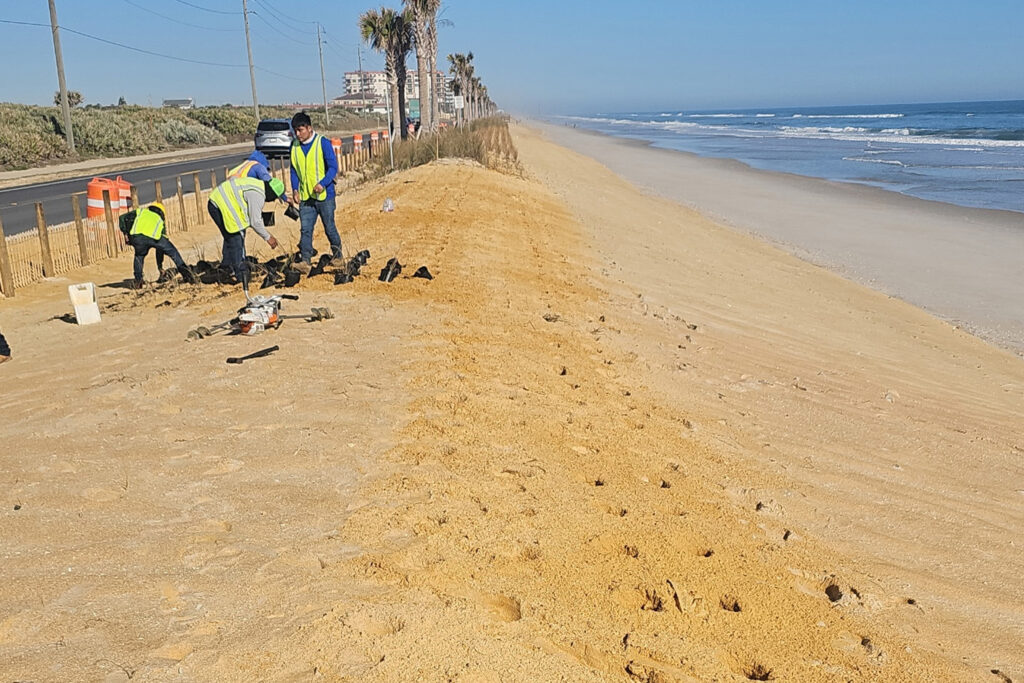 Dune Restoration Banner