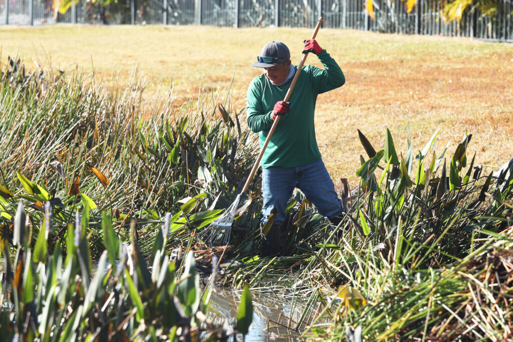 Commercial Lake Treatment in Orlando | Superior Waterway