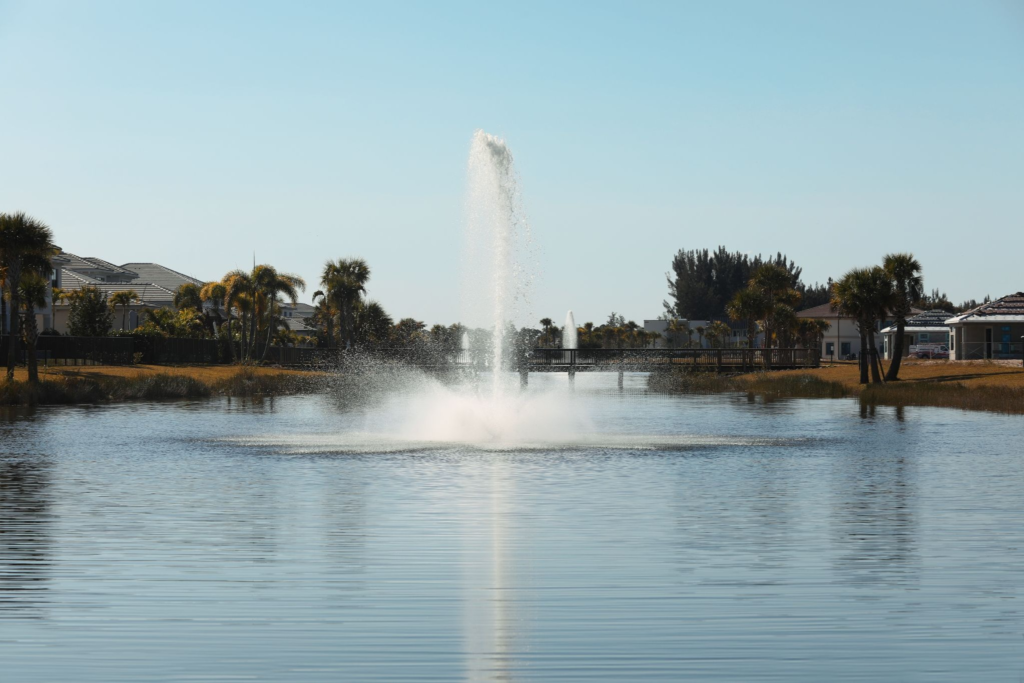 Professional Fountain Maintenance