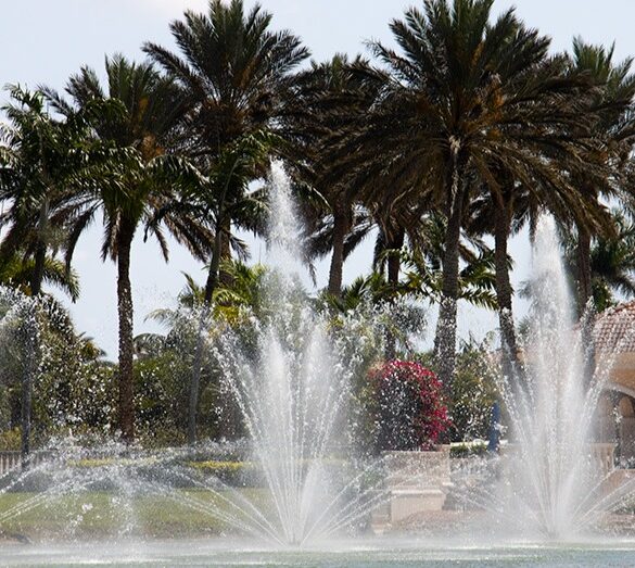 Professional Commercial Lake Treatment Services