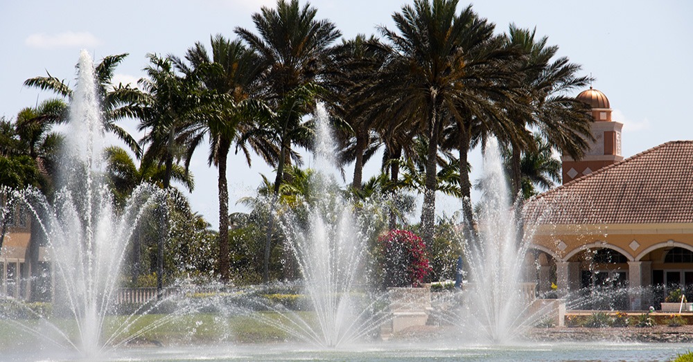 Professional Commercial Lake Treatment Services