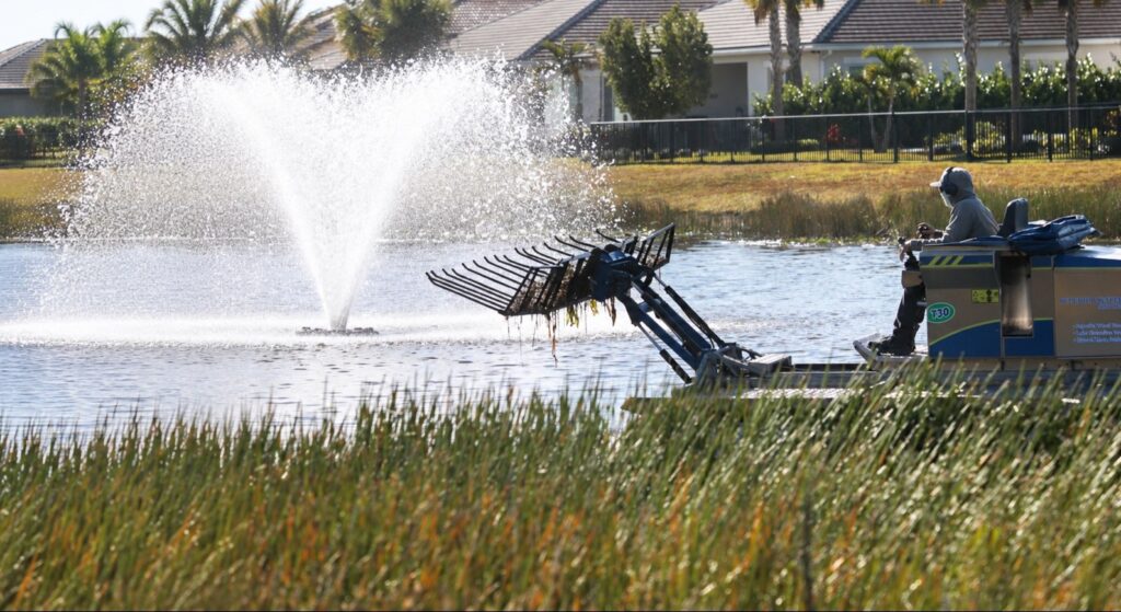 Commercial Lake Treatment