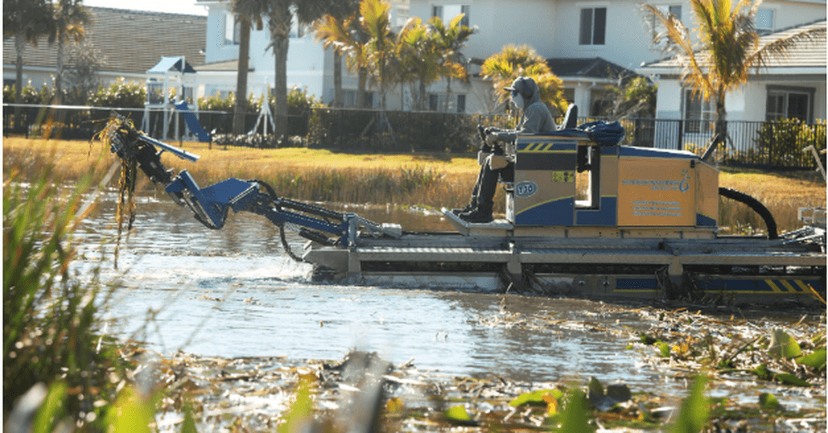 5 Ways to Control Algae and Aquatic Weeds Control in Lakes