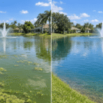 Aquatic Weed & Debris Removal | Superior Waterway