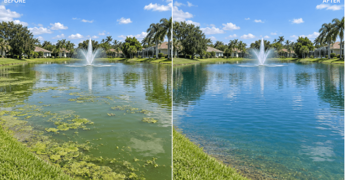 Aquatic Weed & Debris Removal | Superior Waterway