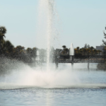 7 Key Tips: Florida Pond Aeration & Floating Fountains