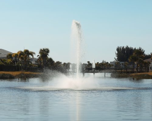 fountain1